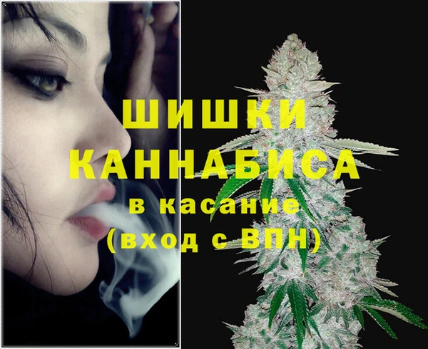 хмурый Аркадак