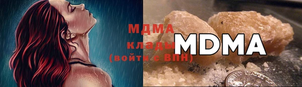 хмурый Аркадак