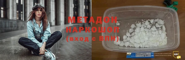 хмурый Аркадак