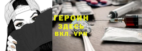 хмурый Аркадак