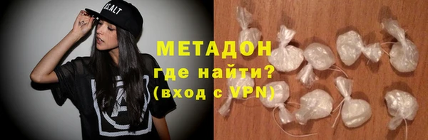 хмурый Аркадак