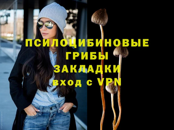 хмурый Аркадак