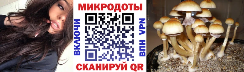 Галлюциногенные грибы Magic Shrooms  даркнет сайт  Аркадак 